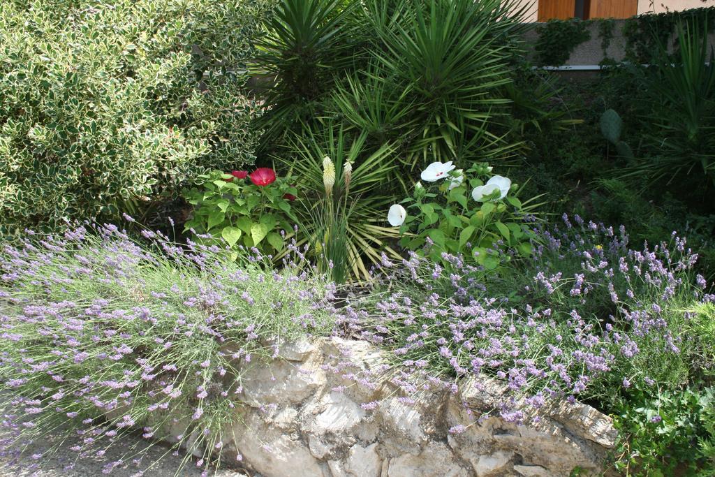 Villa Mas Des Petits Loups Cabrières Habitación foto